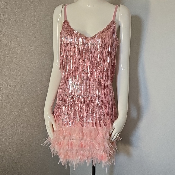 Pink Sequin Fringe Dress - Picture 4 of 6